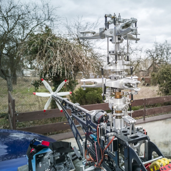 tn_IMG 163218 RAW.jpg